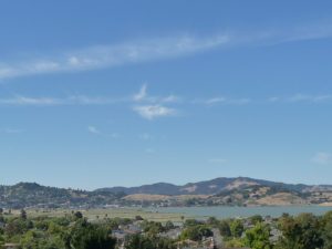 5 Constitution Drive, Corte Madera : Marin Realty Group